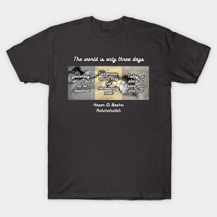 The world is only three days T-Shirt